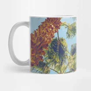 Pretty picture of a Palm Tree. Pretty Palm Trees Photography design with blue sky Mug